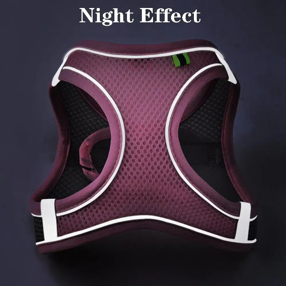 Reflective outdoor pet harness with breathable mesh fabric, designed for safe and comfortable night walks.