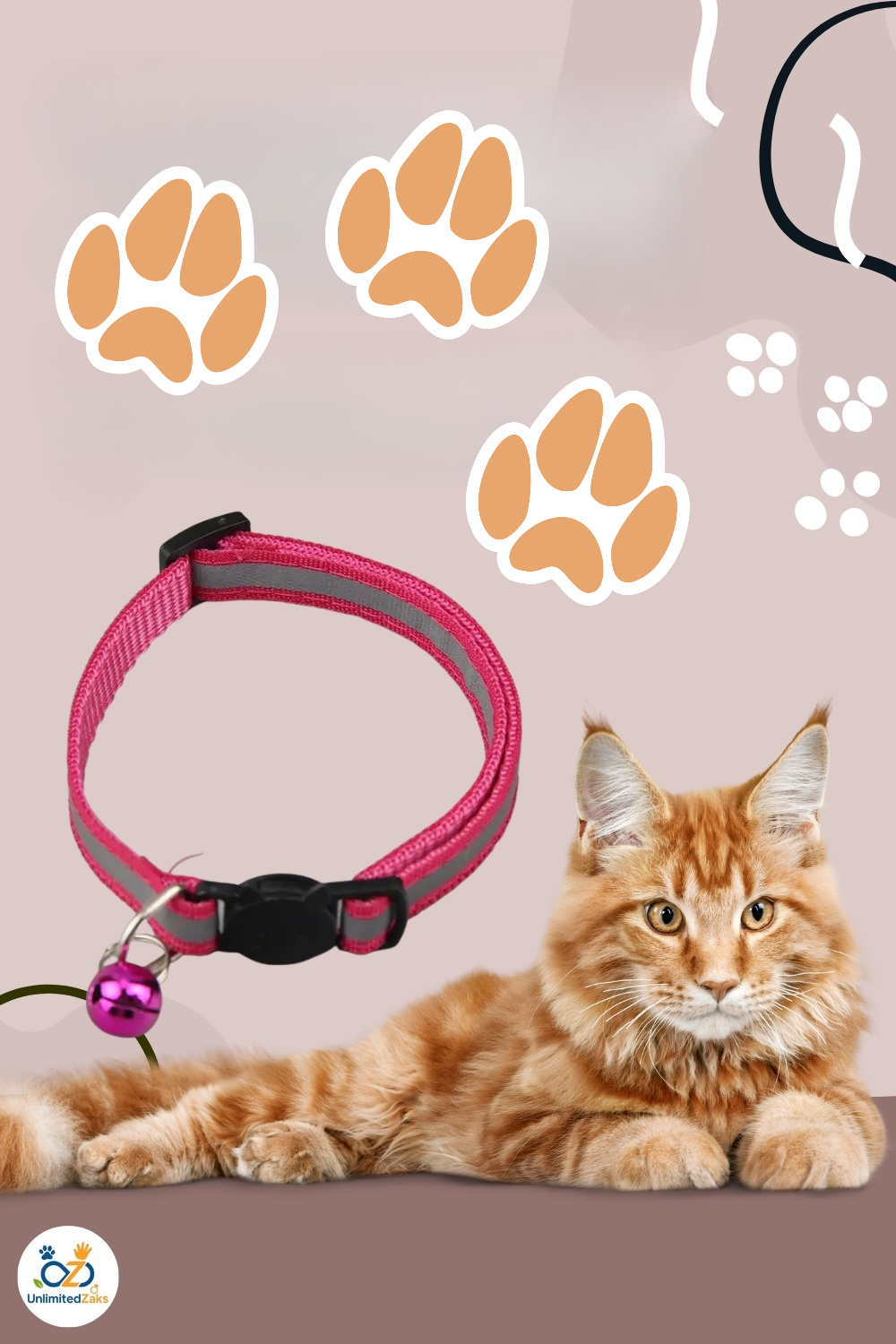 Reflective Cat Collar with Bell – 12 Colors + Leash for Cats & Small