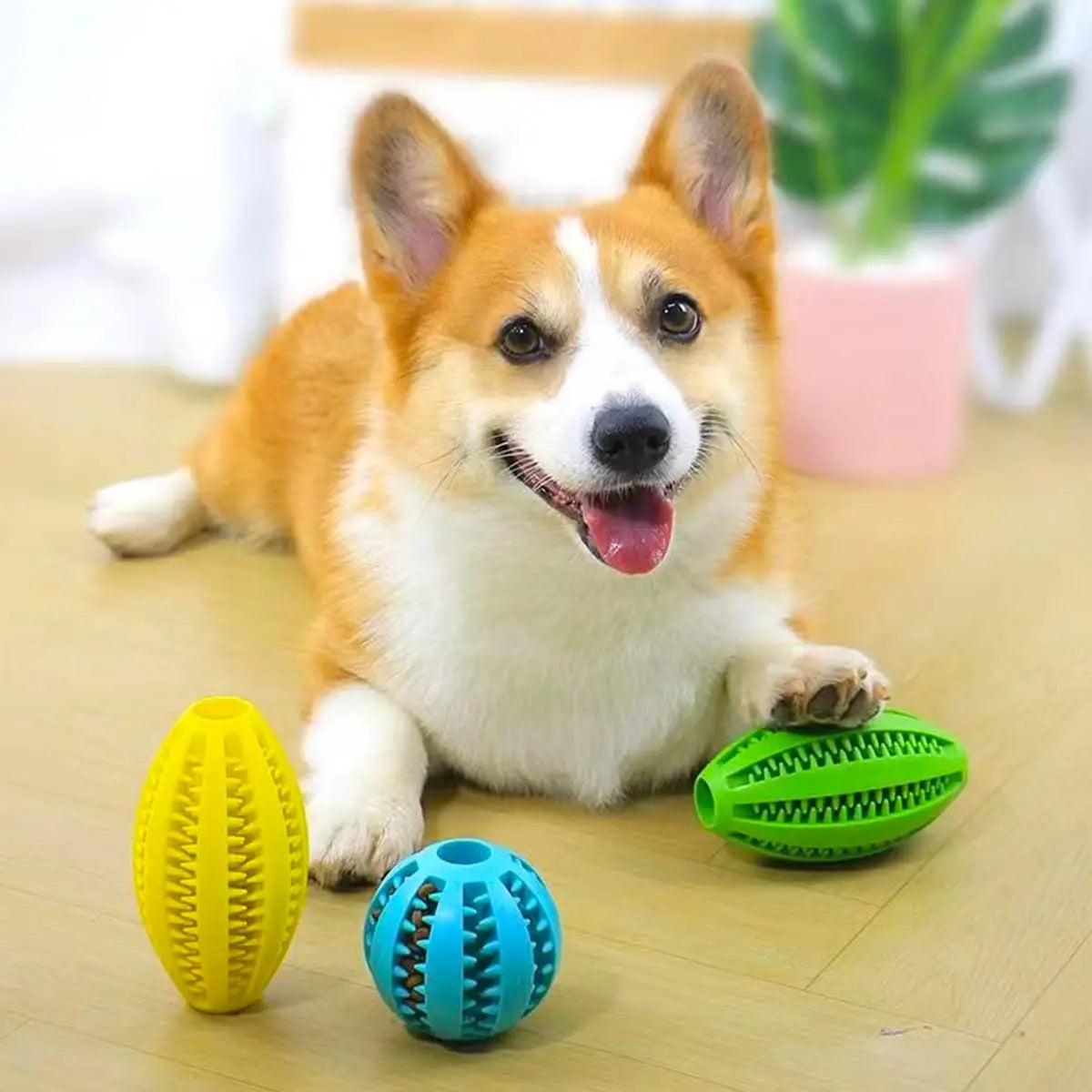 Natural Rubber Chew Ball for Dogs – Cleans Teeth & Holds Treats