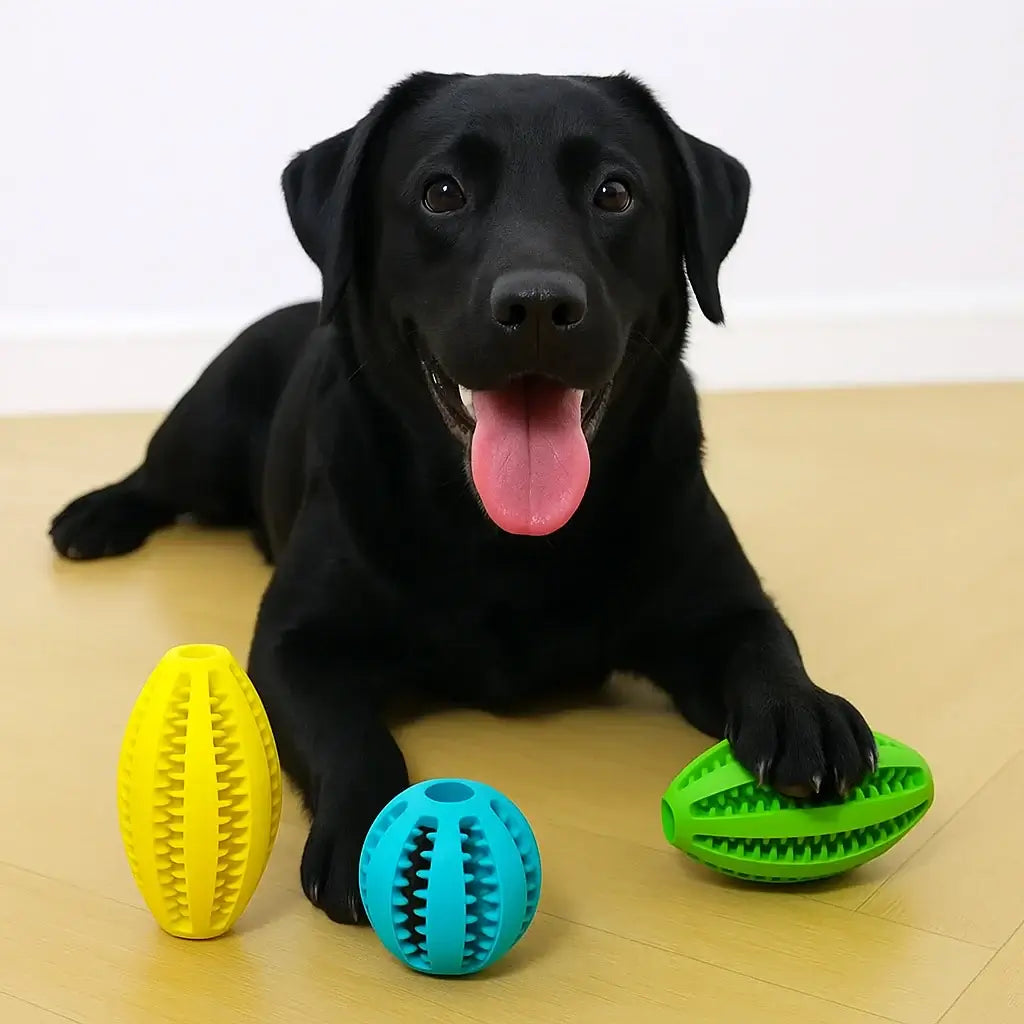 Dog playing with colorful grooming toys on a wooden floor, perfect for pet care and wellness.