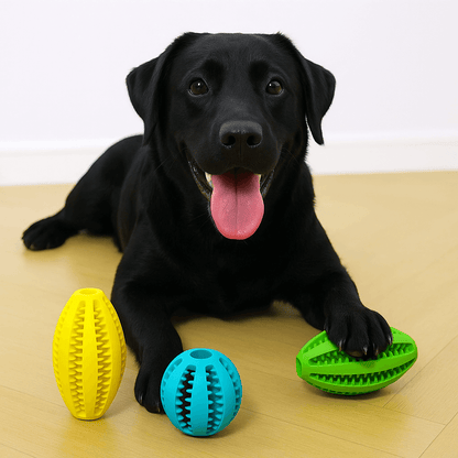 Dog playing with natural rubber chew balls, cleans teeth and holds treats, yellow, blue, and green balls ideal for teething and fetch.