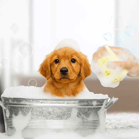 Puppy getting a bath with soothing silicone bristle brush featuring built-in shampoo dispenser, reducing shedding and detangling.