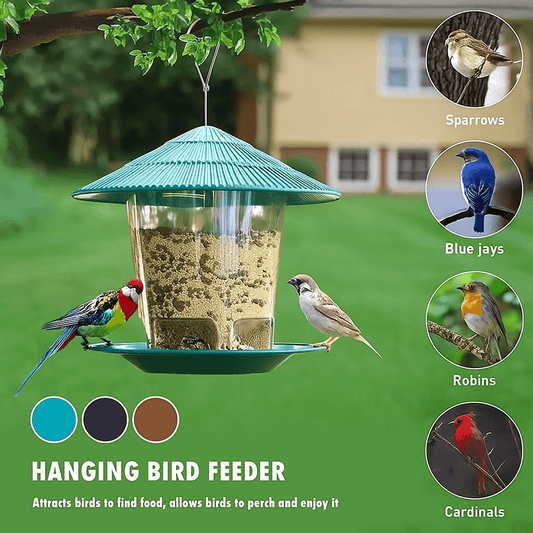 Outdoor hanging bird feeder with multi-port seed dispenser attracting sparrows, blue jays, robins, and cardinals.