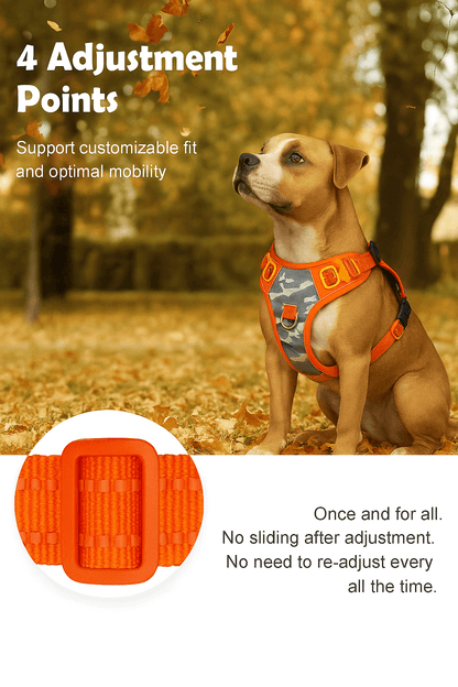 Reflective No-Pull Dog Harness on a dog in autumn park, highlighting 4 adjustment points for customizable fit.