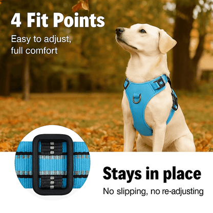 reflective dog harness-Reflective No-Pull Dog Harness on a dog in a park with 4 fit points, ensuring comfort and no slipping during walks