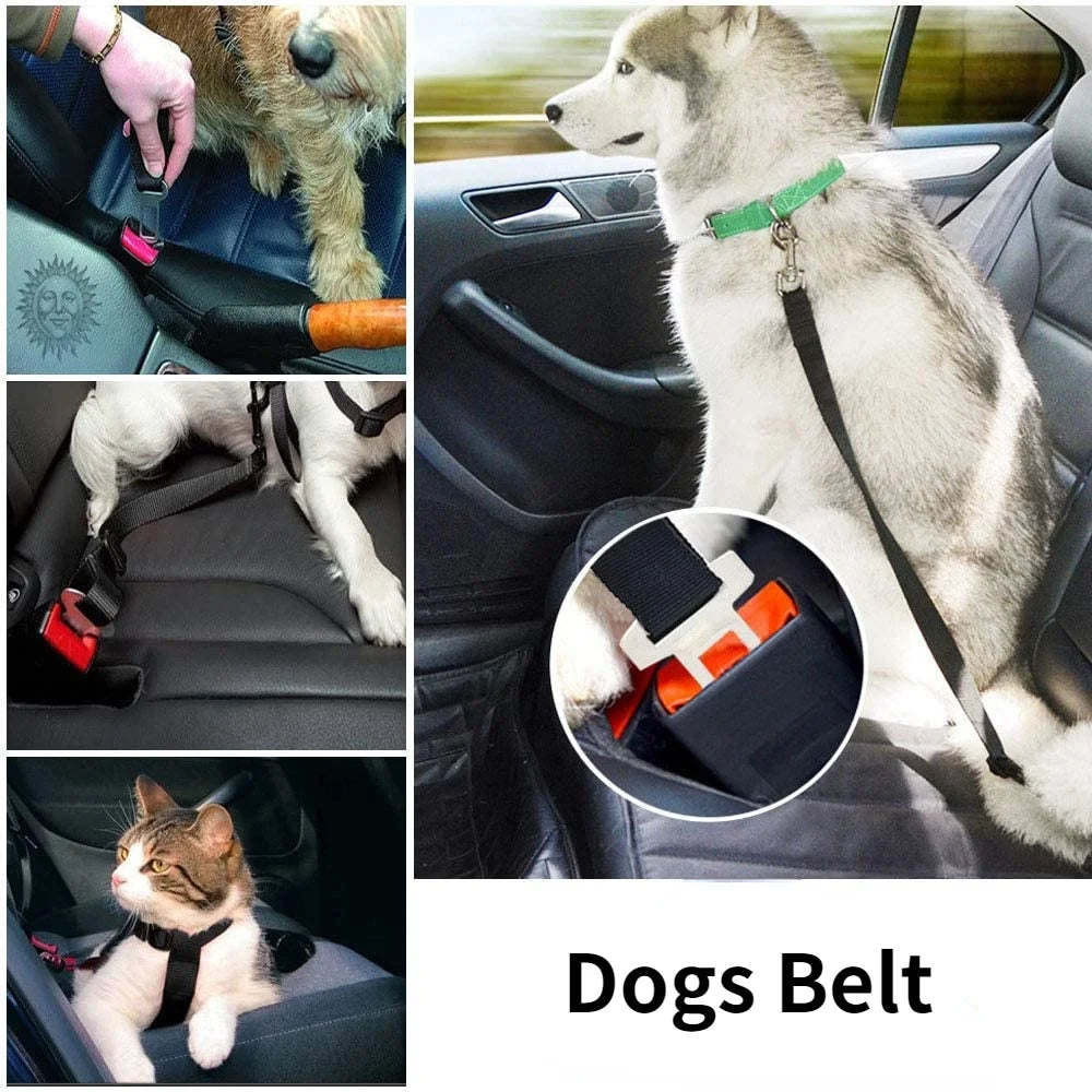 Pet Car Safety Seatbelt - Unlimitedzaks.store
