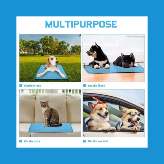 Cooling Pet Mat for Summer with dogs and cat relaxing in various locations.