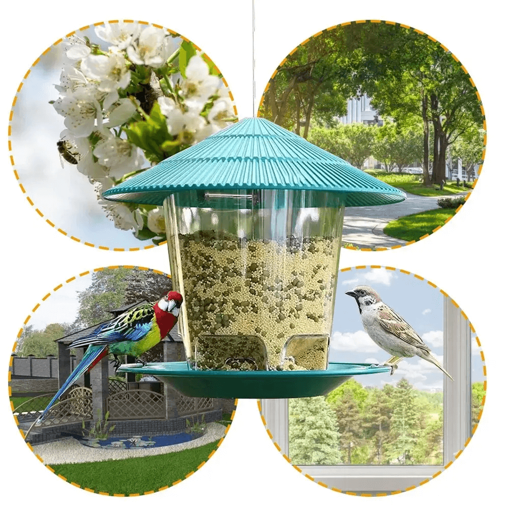 Outdoor hanging bird feeder with multiple feeding ports, featuring vibrant birds and a large 2.6L capacity against scenic backgrounds.