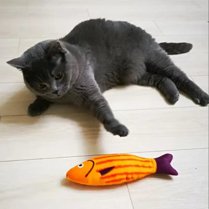 Grey cat playing with squeaky catnip fish toy– Fun, Safe & Snuggly Playtime for Cats, orange fish-shaped toy on floor.