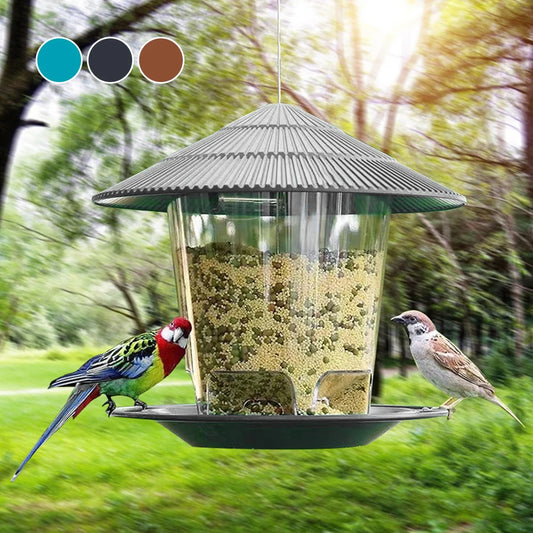 Outdoor hanging bird feeder with multi-port seed dispenser attracting colorful birds in a sunny garden setting.