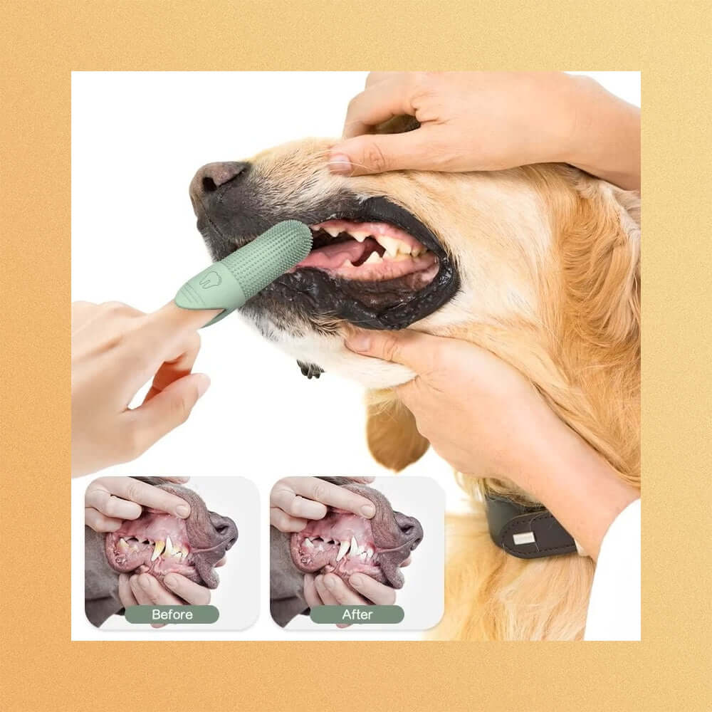 Using Soft Silicone Pet Toothbrush for effective plaque removal in dogs, showcasing before and after cleaning results.