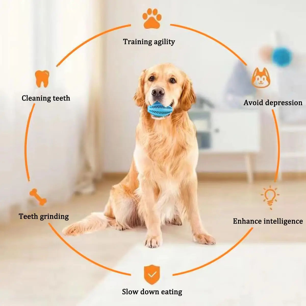 Golden retriever holding a rubber chew ball, surrounded by benefits like cleaning teeth, enhancing intelligence, and training agility.