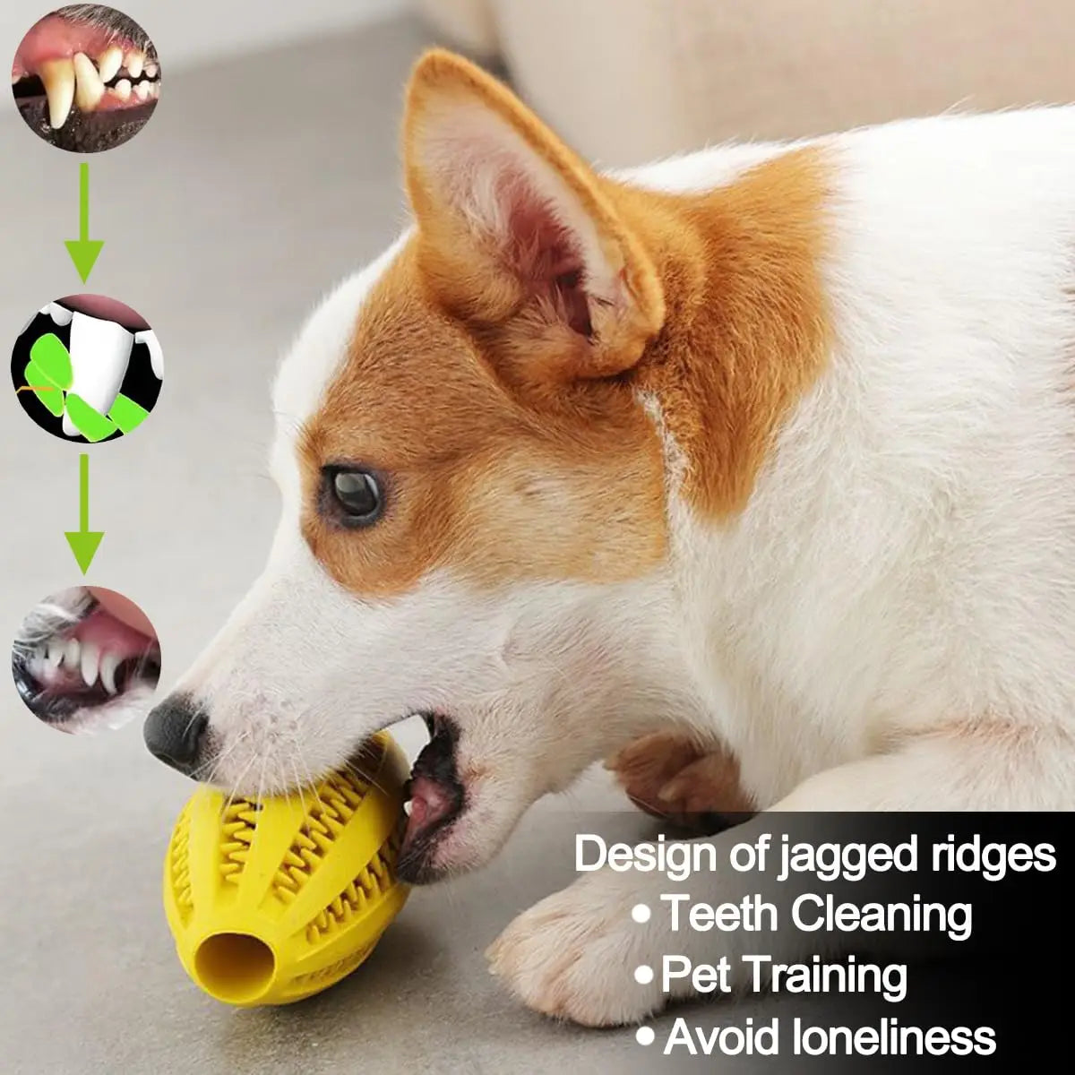 Dog chewing a natural rubber ball with jagged ridges, designed for teeth cleaning and pet training, promoting play and reducing loneliness.