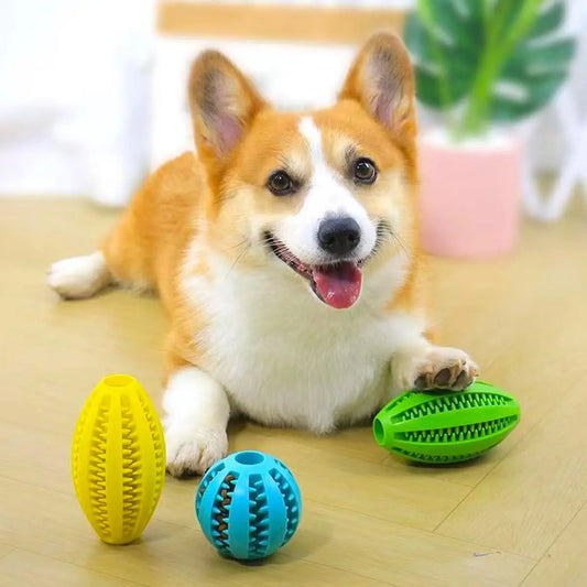 Corgi dog playing with colorful natural rubber chew balls designed for teeth cleaning and treat storage.
