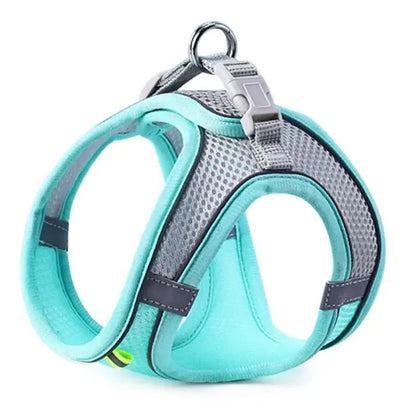 Comfortable turquoise pet harness with adjustable straps, breathable mesh, and reflective features for safe outdoor walks.